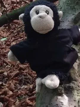 A toy monkey puppet